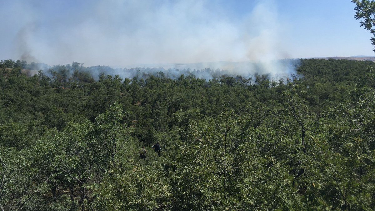 Çorum'da 30 Eylül'e kadar ormanlara giriş yasak