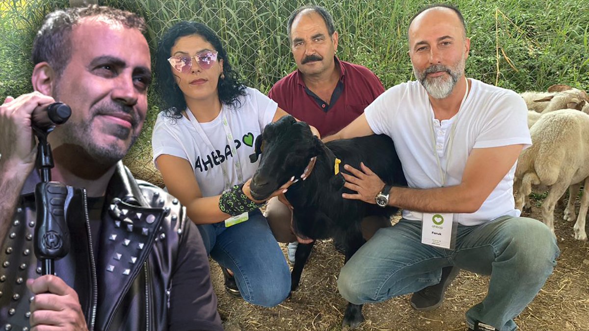 Haluk Levent 3 gündür kaçan keçiyi sahiplendi: 'Karakız', 'Ferdinand'ın yanına gidecek