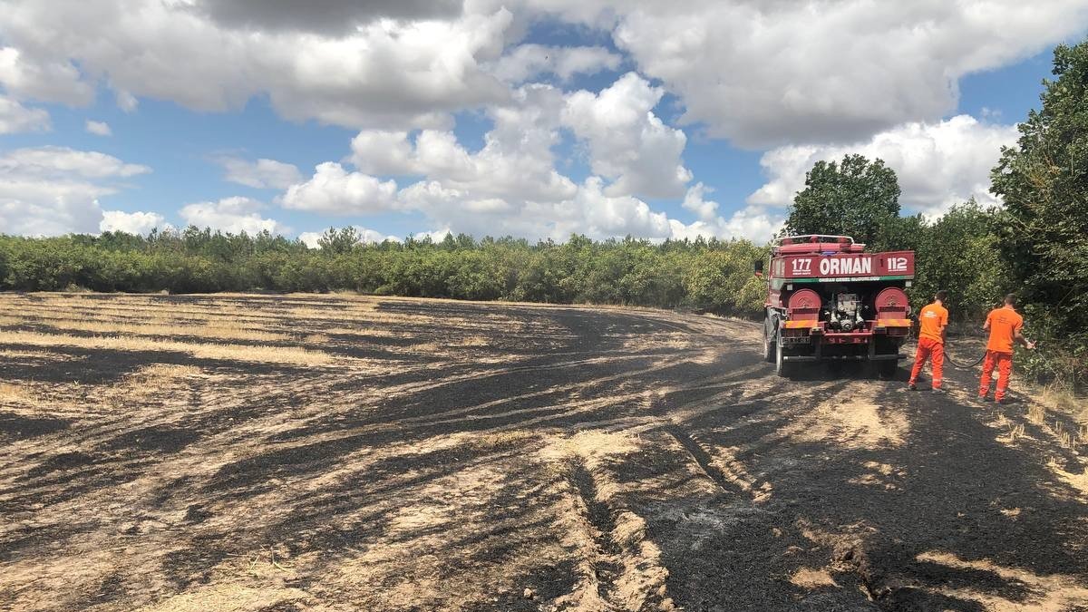 Kırklareli'ndeki orman yangını söndürüldü