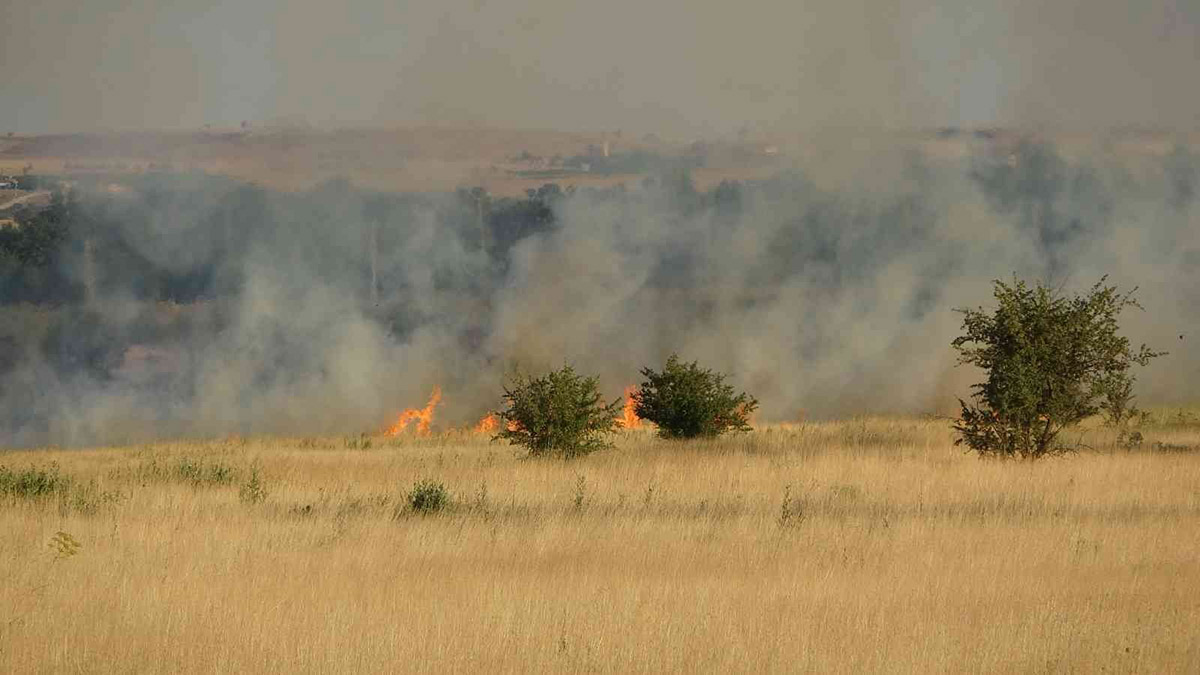 Uşak Havalimanı'nda yangın: 30 dekarlık alan kül oldu