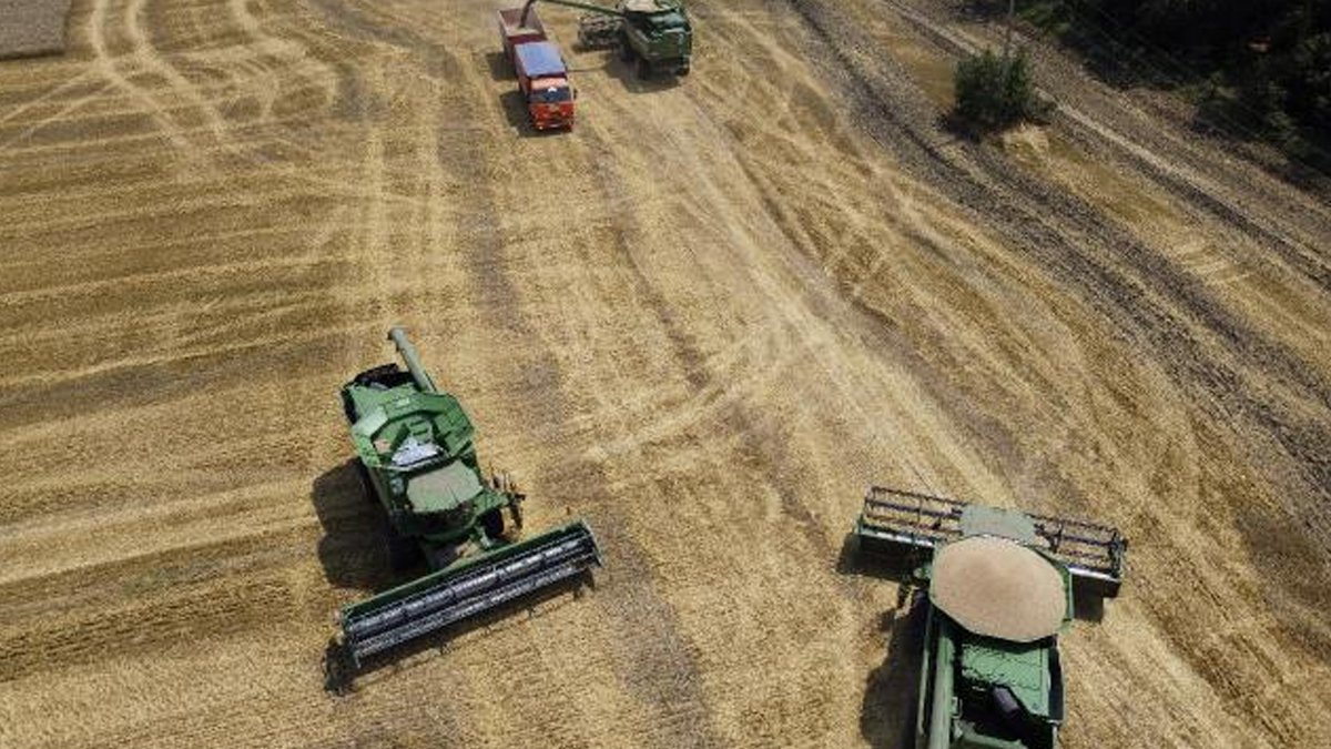 Tahıl koridoru anlaşması imzalandı: Gemilerin Karadeniz'den geçişi nasıl sağlanacak?
