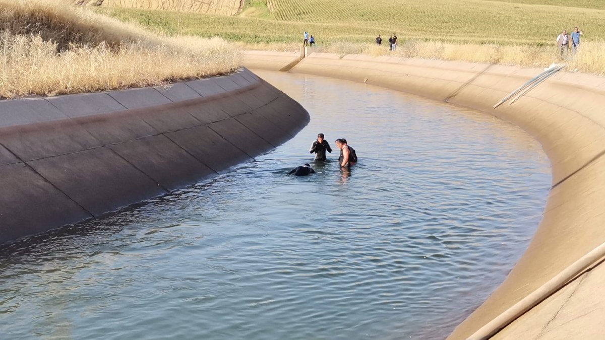 Kuzusunu kurtarmak için kanala giren çocuk öldü