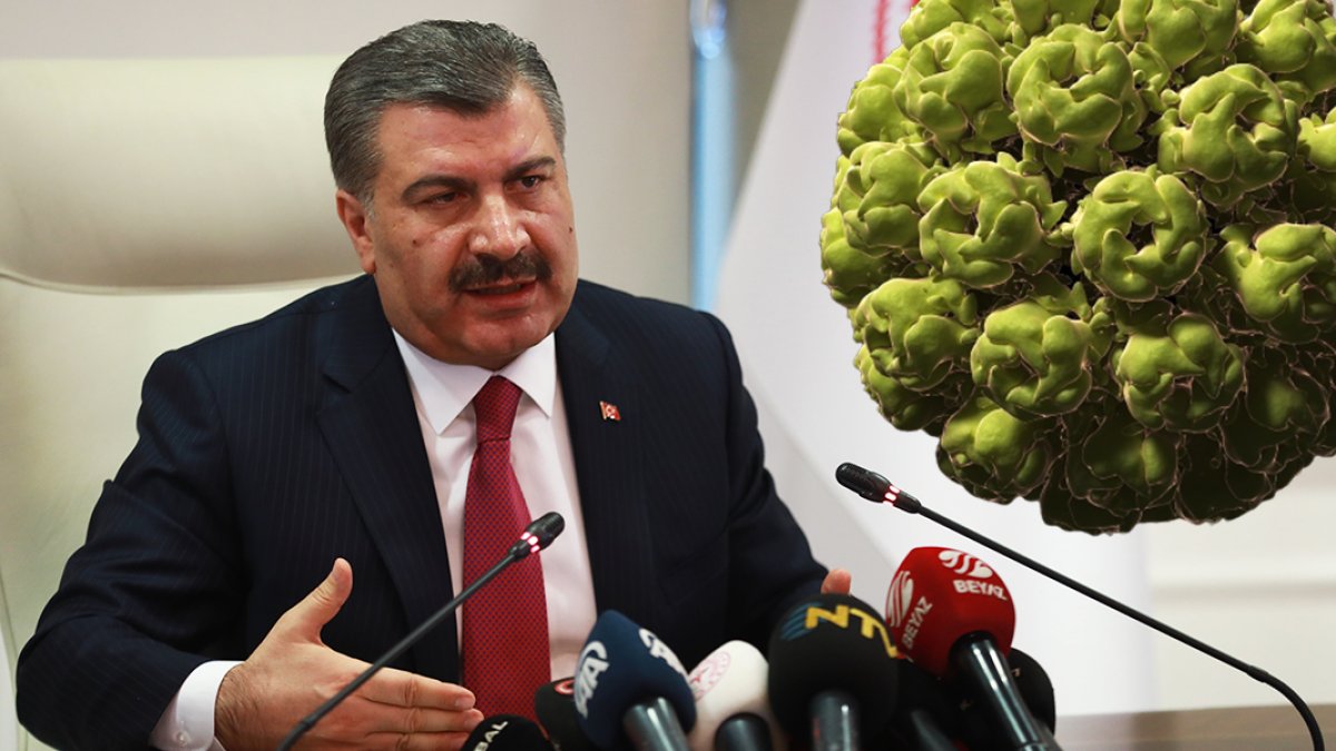 Sağlık Bakanı Koca'dan endişelendiren açıklama: Maymun çiçeği tehdidi büyüyor