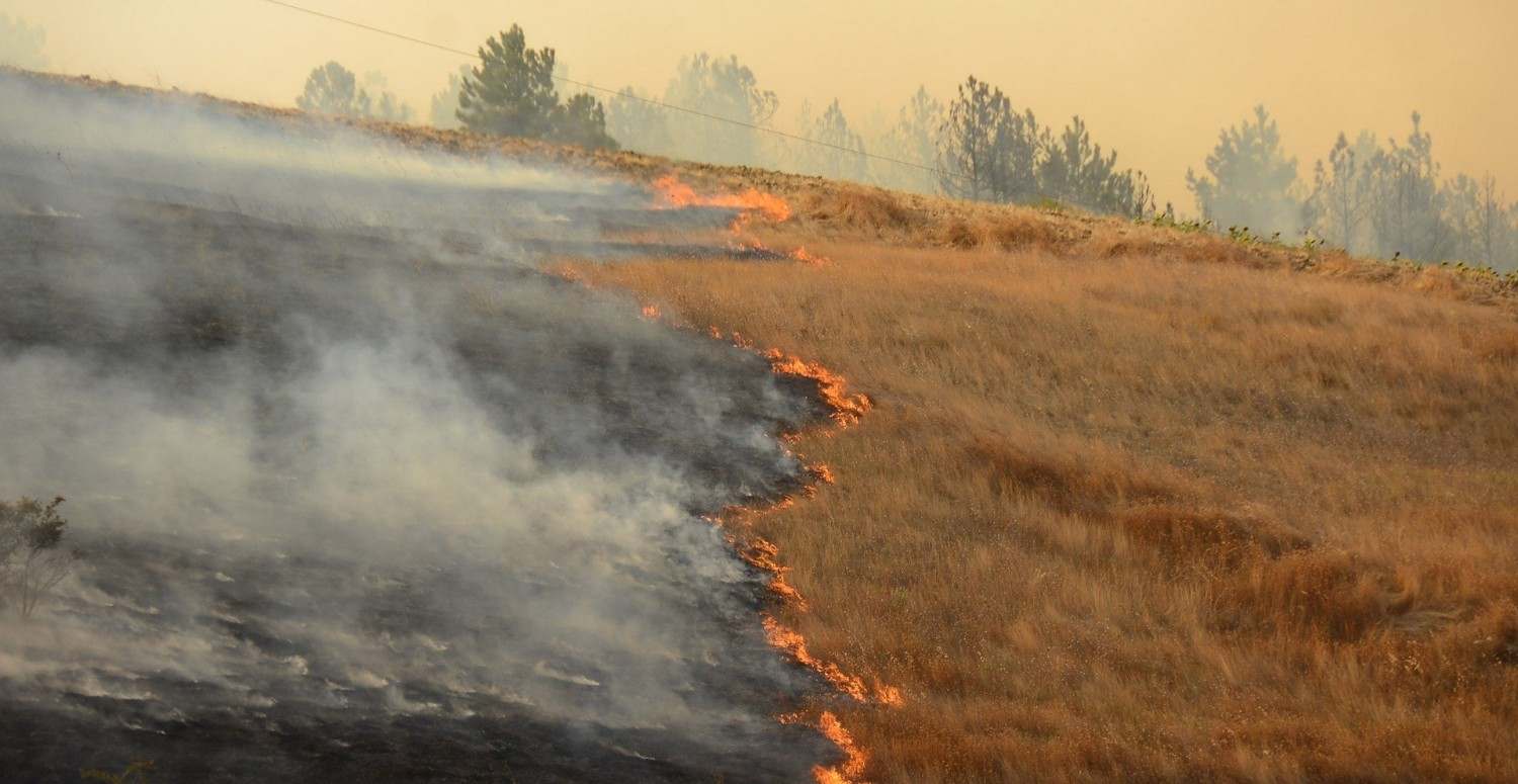 Anız yakmak ne demektir, cezası nedir? Anız yakmanın zararları