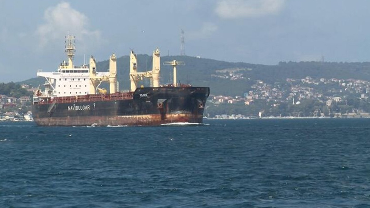 Tahıl yüklü 'Rojen' ve 'Polarnet' Fatih Sultan Mehmet Köprüsü'nden geçti