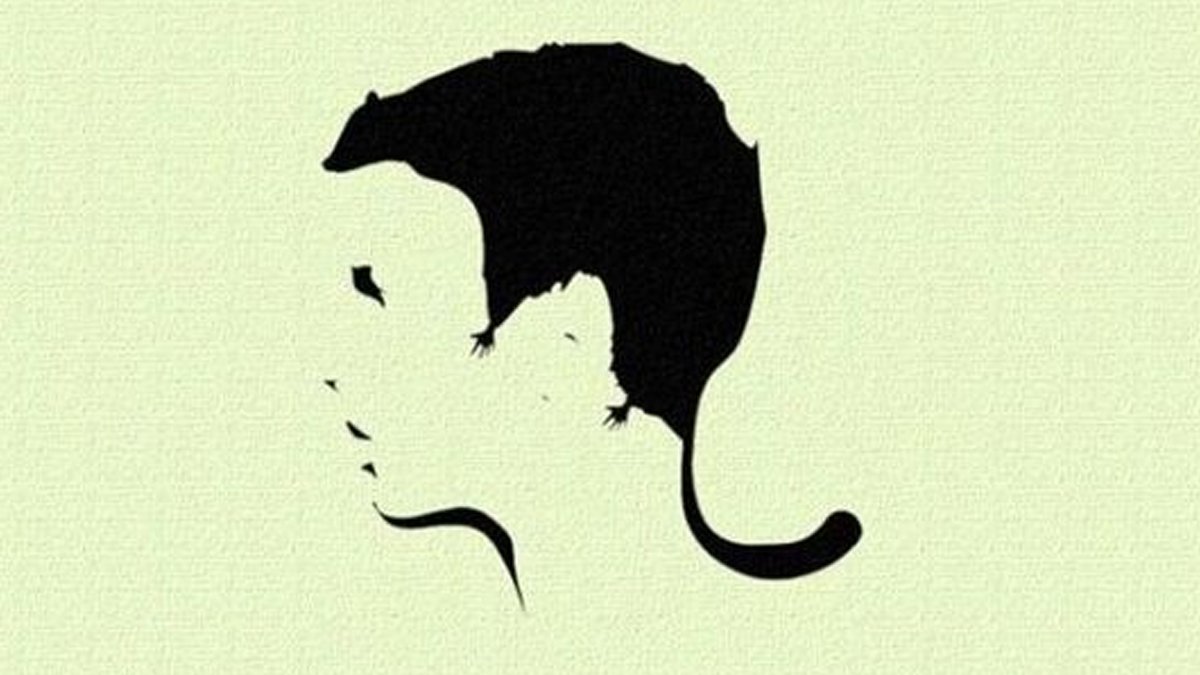 Resimde İlk Fareyi Mi Gördün? Durumun Hakkındaki Gerçeği Öğrenmeye Hazır Mısın?