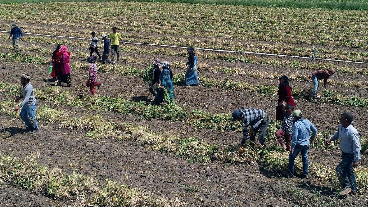 İSİG: Yılın ilk yedi ayında 1014 emekçi iş cinayetine kurban