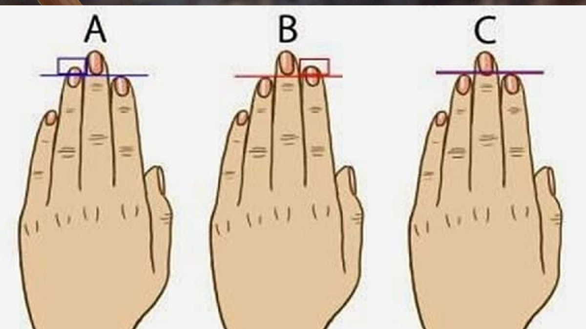 Parmaklarınız Gerçek Kişiliğiniz Hakkında Ne Anlatıyor? Önce Eline Bak Sonra Oku...