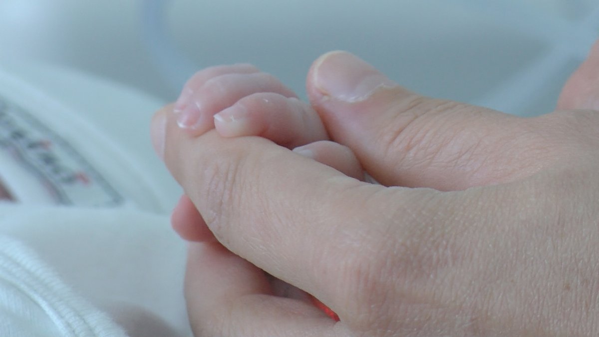 540 gram doğan bebeği kök hücre tedavisi hayata bağladı