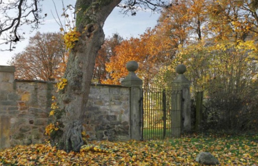 Resimdeki kızı sadece yüz kişiden 2'si bulabiliyor! Resimdeki gizlenmiş kızı 30 saniyede bulanın IQ'su 120 çıkıyor