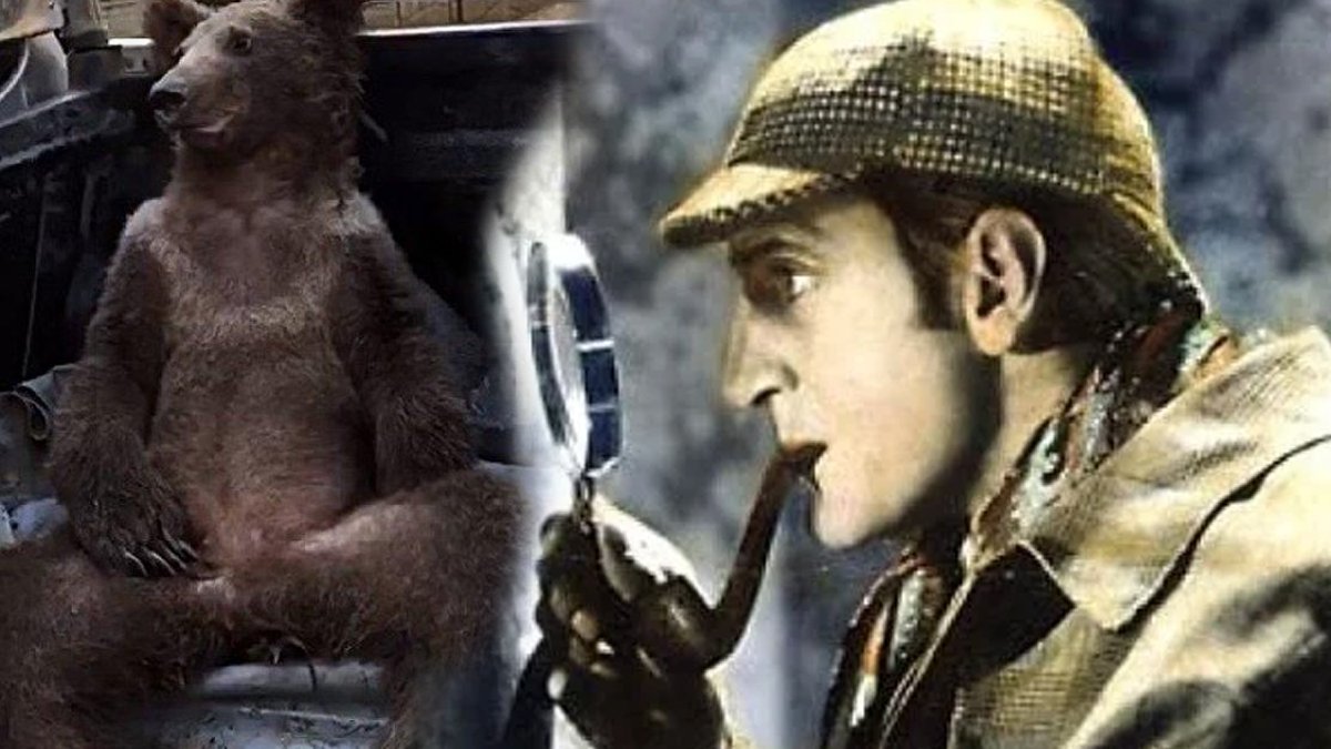 Balkız Ucuz Kurtulmuş! Persler Romalıları, Amerikalılar Düşmanı Onunla Öldürdü! Sherlock Holmes İse Gizemi Deli Bal İle Çözdü...