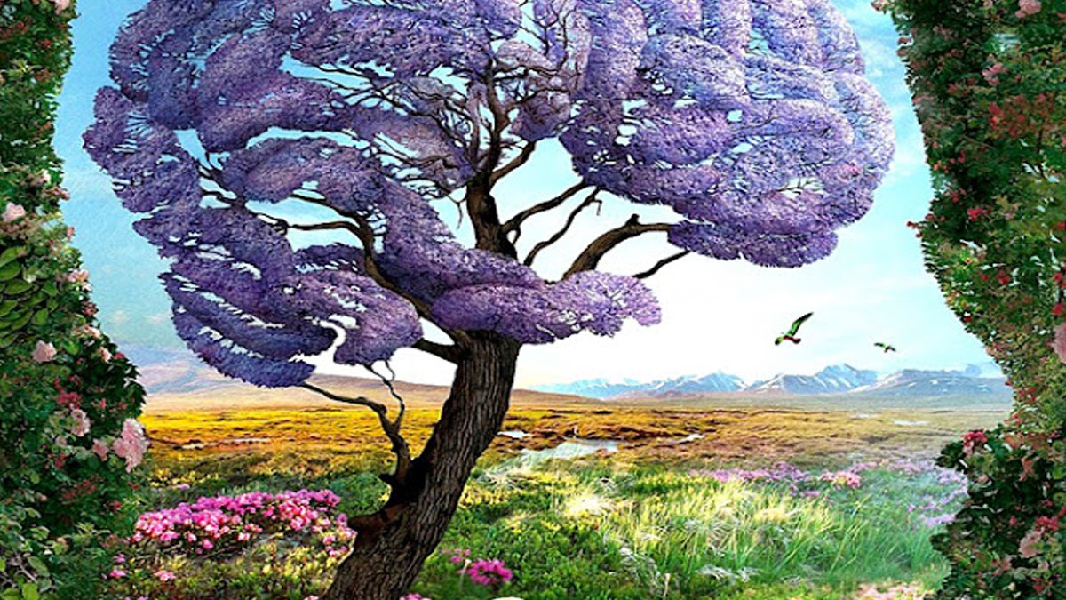 İşte Yapması Cesaret İsteyen Kişilik Testi:  Resimde Dikkat Ettiğiniz Şey, Kişiliğinizin Tüm Sırlarını Ortaya Çıkaracak...