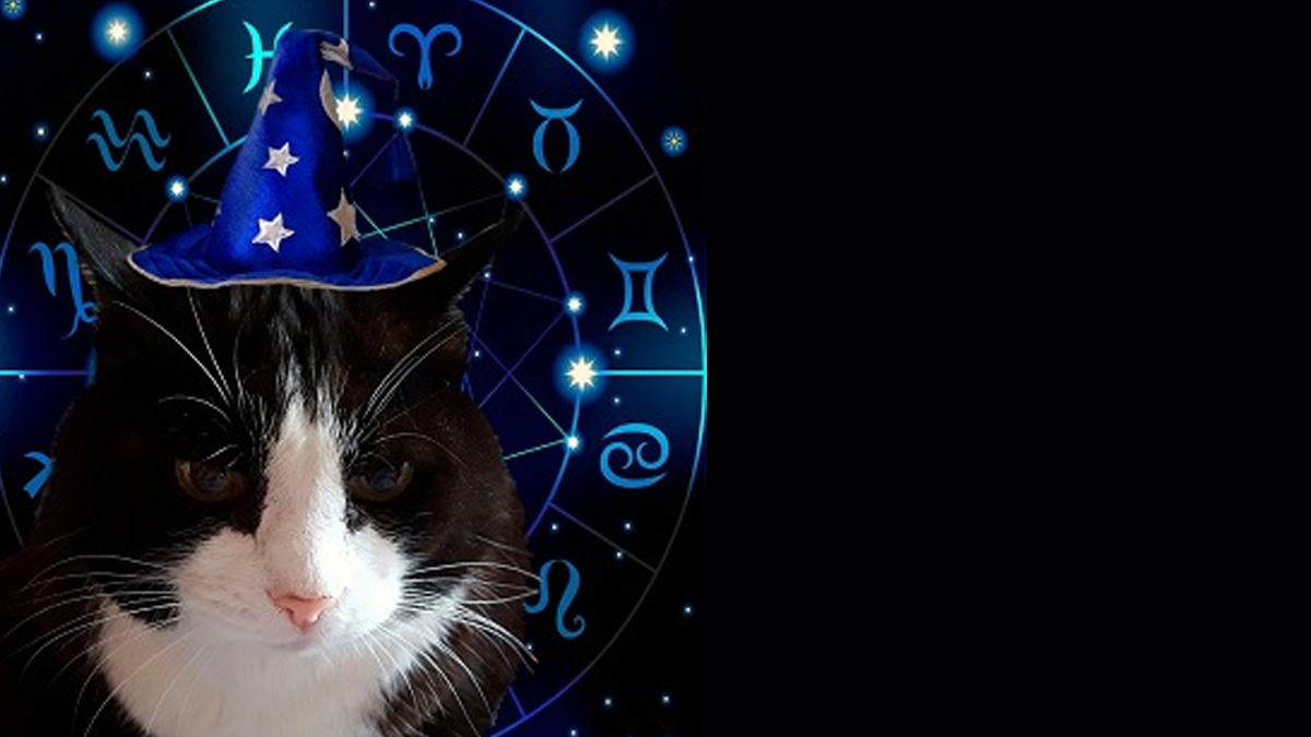 Burçlara Ay Uyarısı Geldi: Sakın Bu Saatlerde Bir Karar Vermeyin Yada Alışveriş Yapmayın! 24 Ağustos Burç Yorumları...