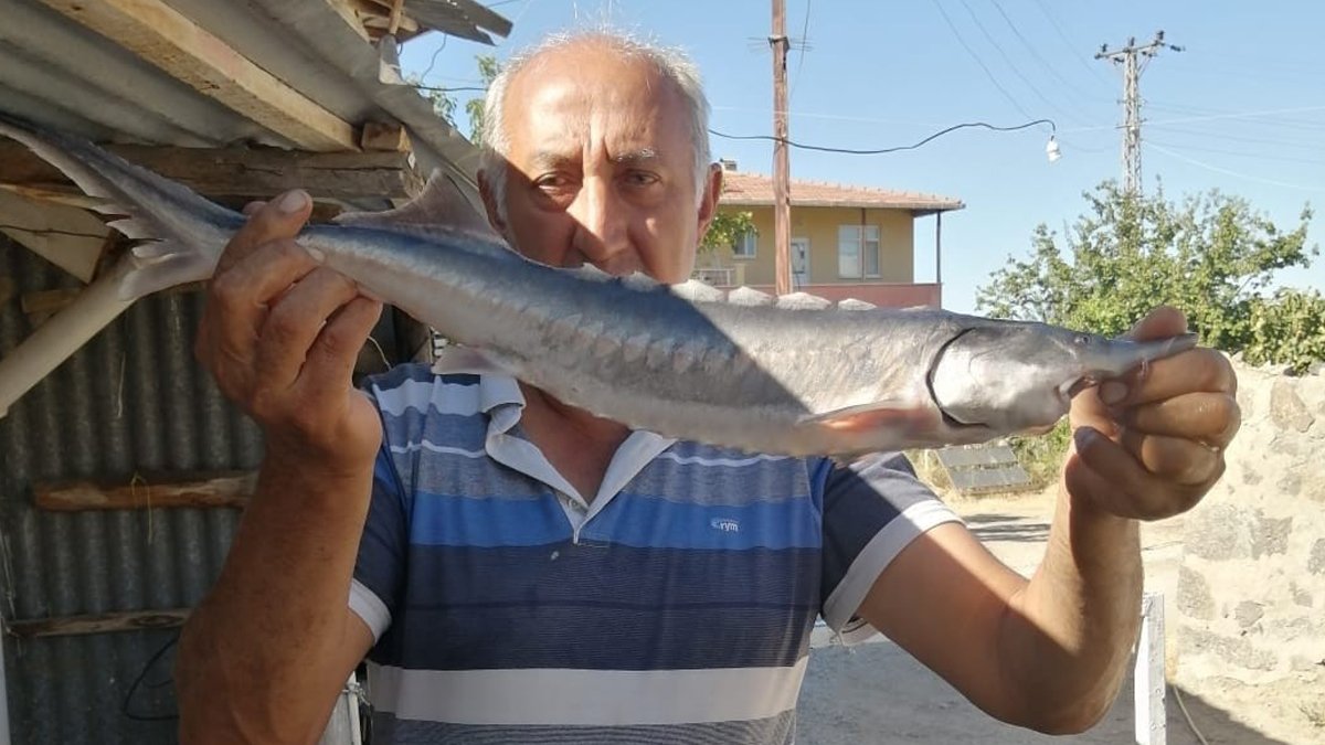 Havyarı 2 milyon lira... Büyüklüğünü gören hayrete düştü