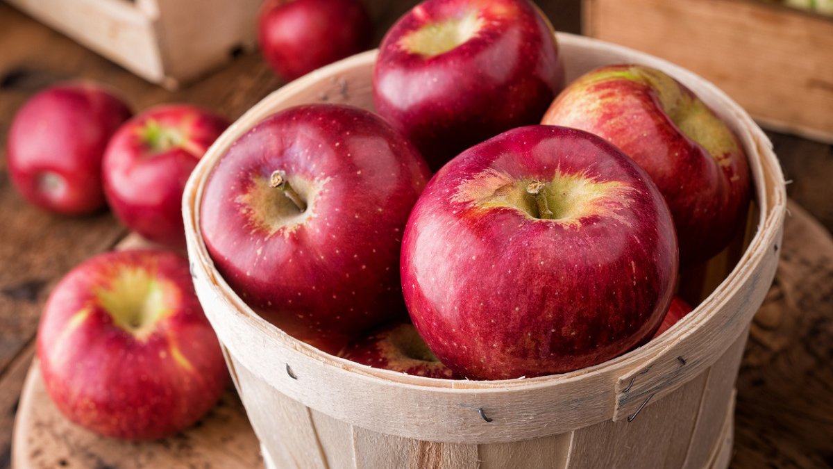 Her gün bir 1 elma yemek için 3 neden! Bu haberi okuyunca elmayı elinizden düşürmeyeceksiniz