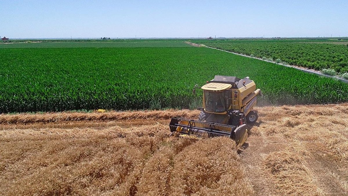 Artan fiyatlar bunu da yaptırdı: Sahte gübre çiftçinin korkulu rüyası