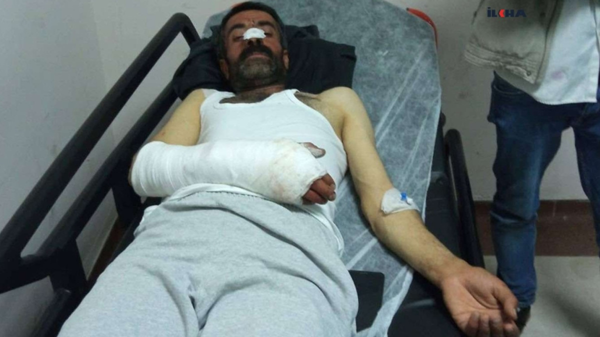 Bingöl'de ayı saldırısına uğrayan çoban yaralandı