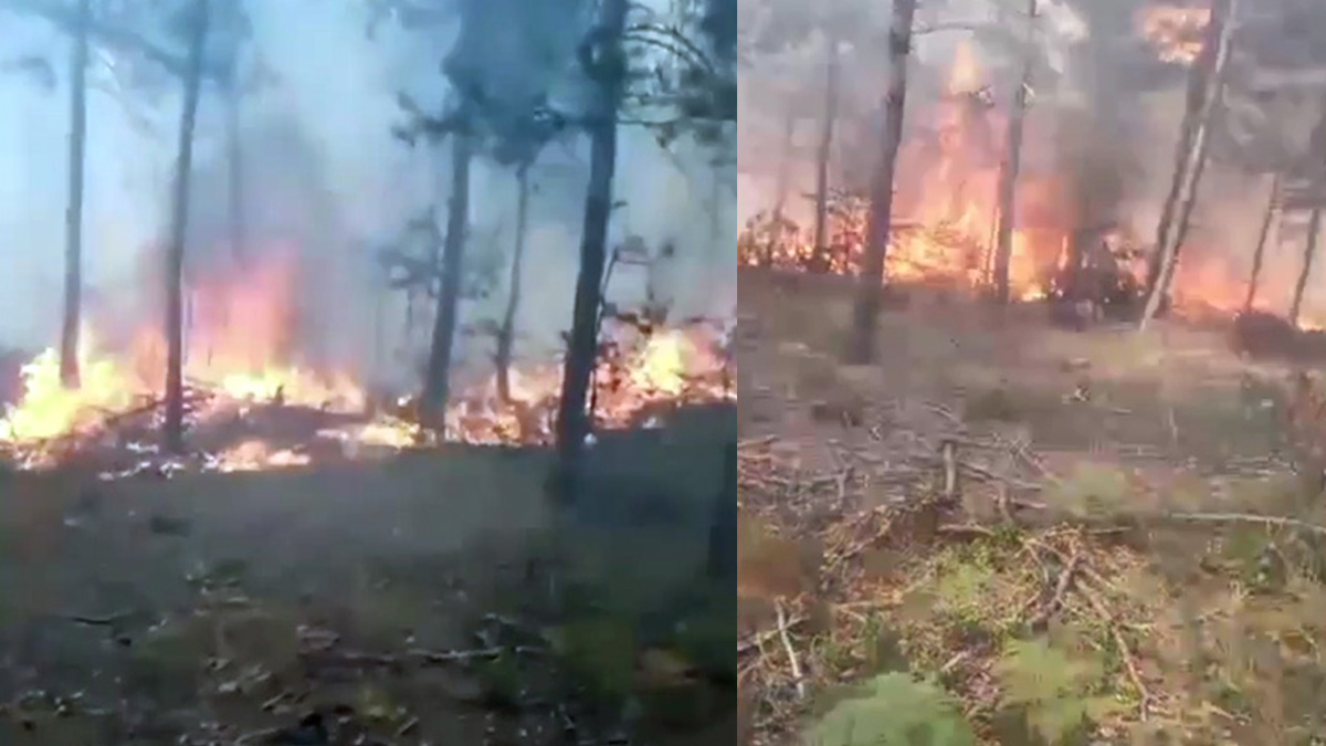 Tokat'ta orman yangını: 3 hektarlık alan zarar gördü