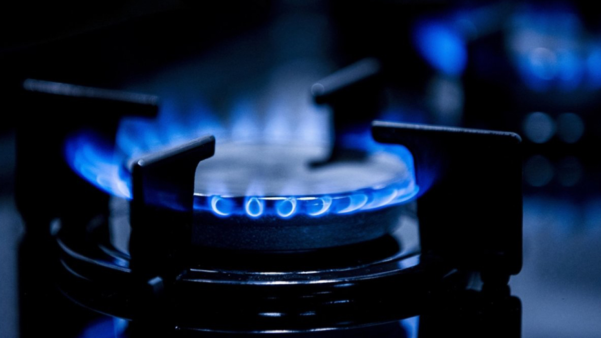 Hollanda'dan örnek kampanya: Faturayı devlet ödeyecek