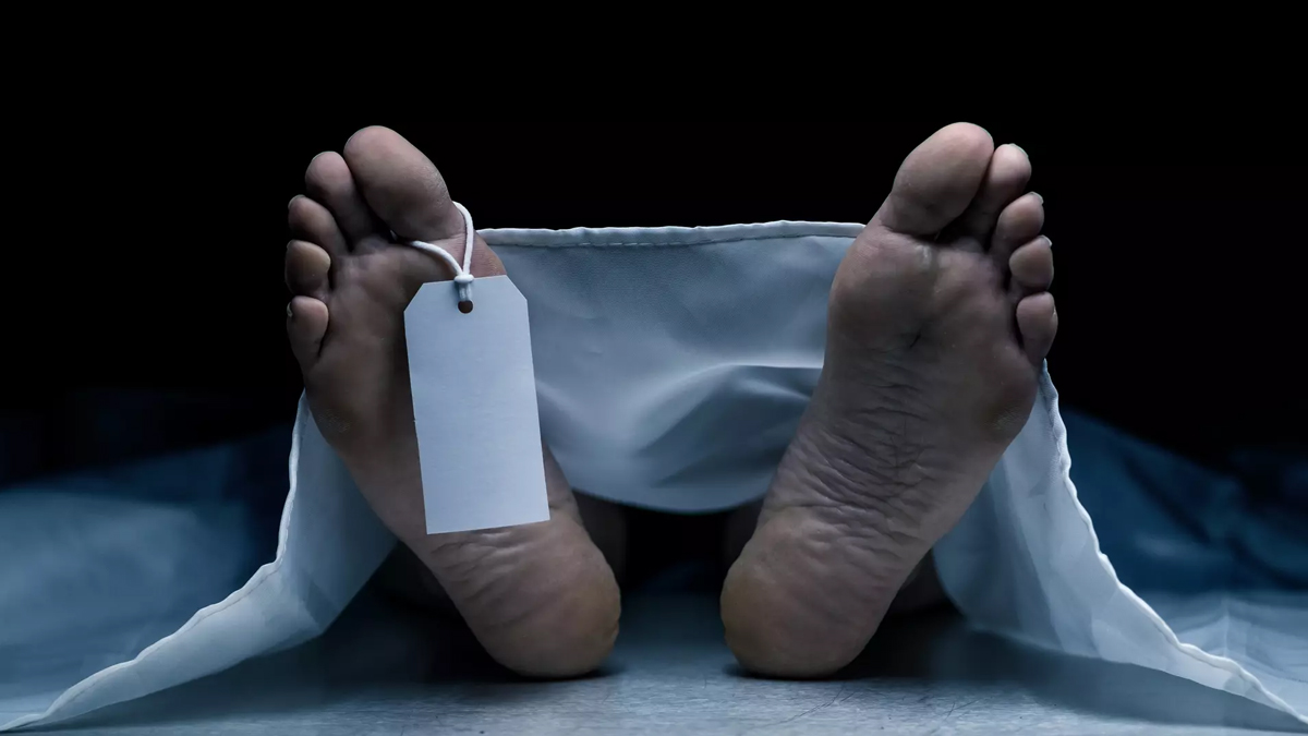 Ünlü yönetmen 'Yardımlı intihar’la hayatına son verdi! Eşi her şeyi itiraf etti...