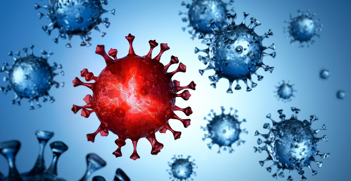 Maymun çiçeğinde son durum