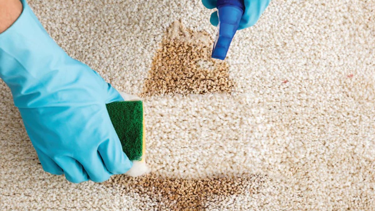 Halılarınızı yıkamadan pırıl pırıl yapabilirsiniz! İşte ilk defa duyacağınız o pratik yöntem