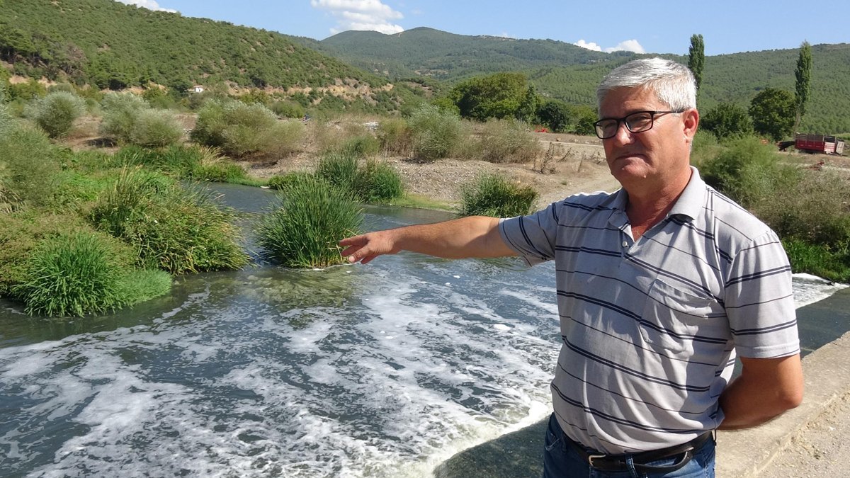 5 yıl önce yüzülüyordu, şimdi yanından geçilmiyor!