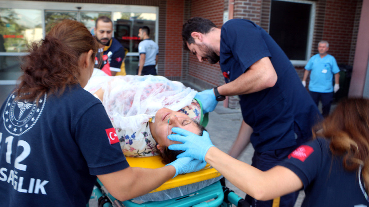 Tokat'ta kavak ağacı kavgası: 2'si ağır 4 yaralı