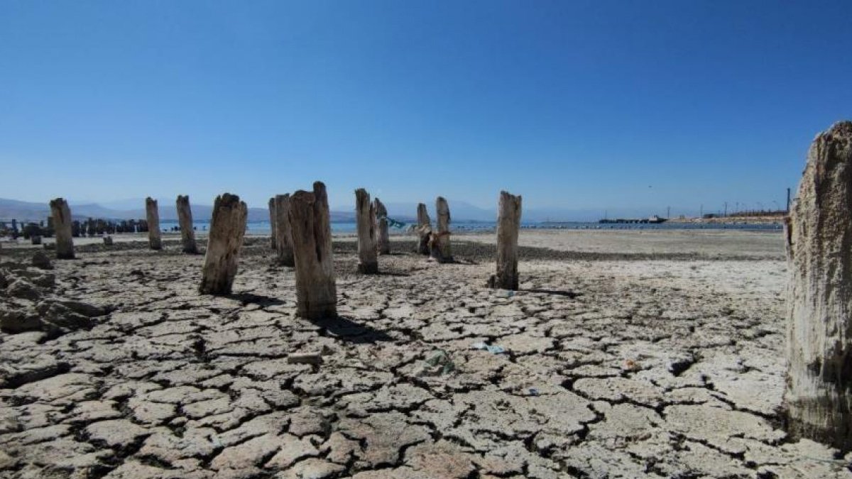 NASA ile adını tüm dünyaya duyuran Van Gölü kuruyor