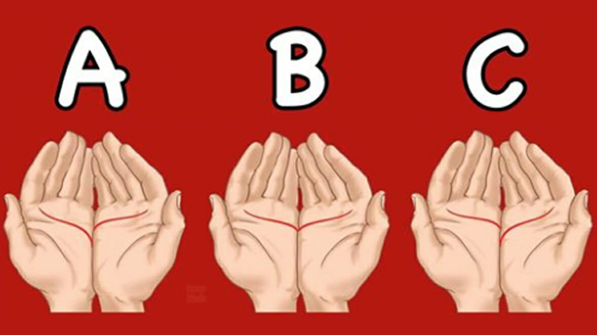 Başarılı mı yoksa başarısız mısınız? Avucunuzun içindeki çizgiler kişiliğiniz hakkında ilginç şeyler söylüyor...
