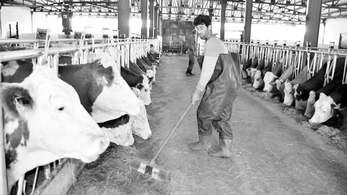 Milletin derdi başka bakanın başka