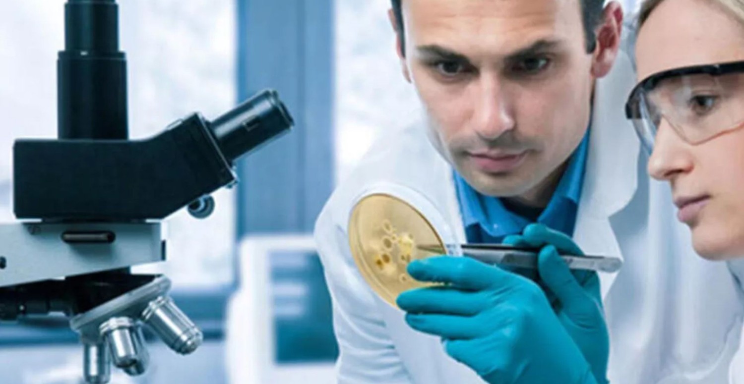 Biyolog ne demektir, görevleri nelerdir? Biyolog olma şartları