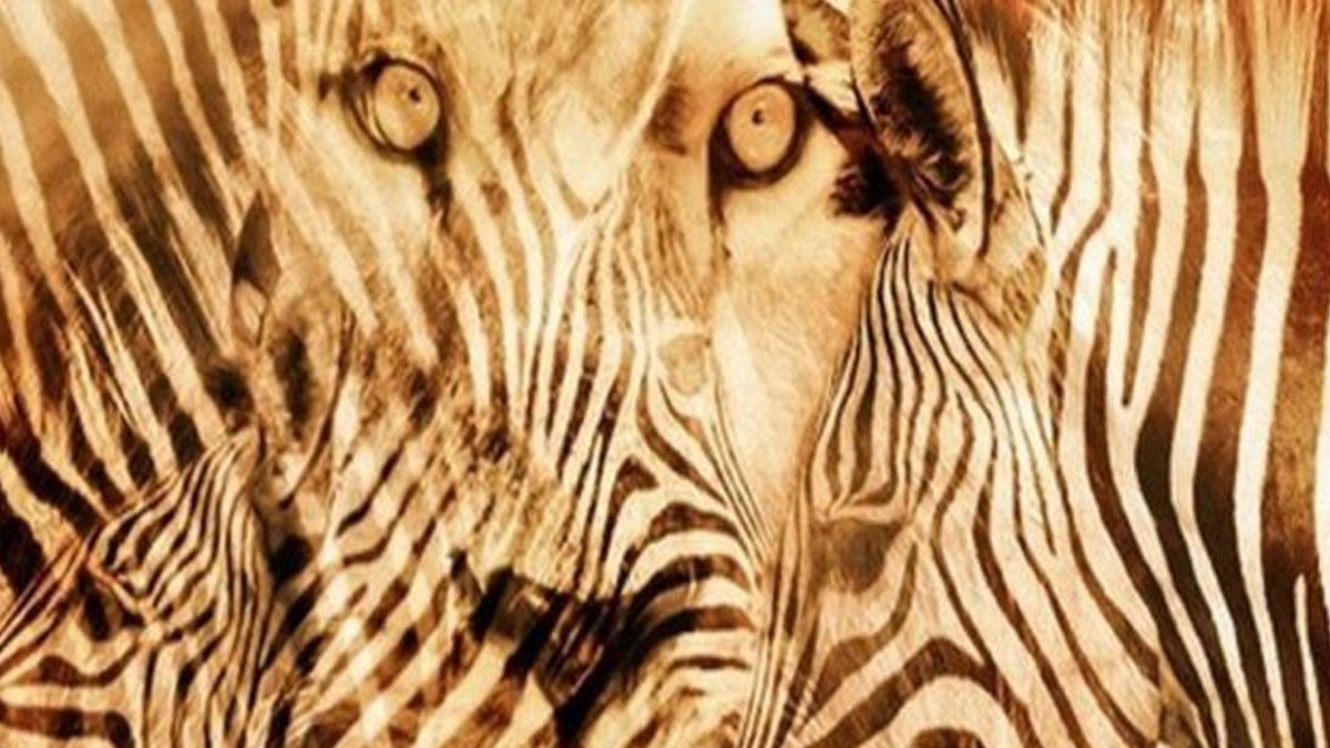 Test: Bak ve kendin hakkındaki tüm gerçeği öğren