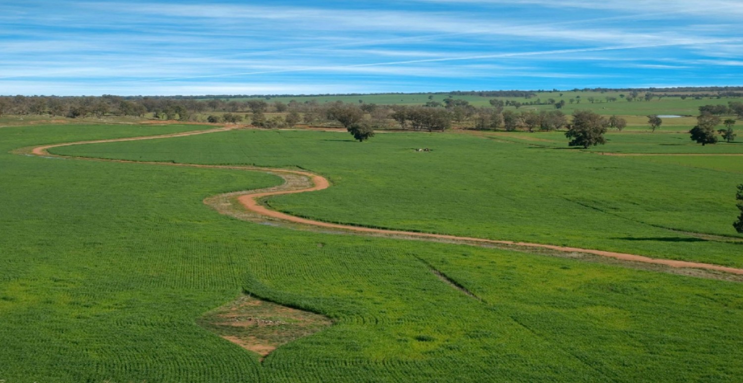 İstimlak nedir, ne işe yarar? İstimlak neden ve nasıl yapılır? İstimlak bedeli hesaplama yöntemi