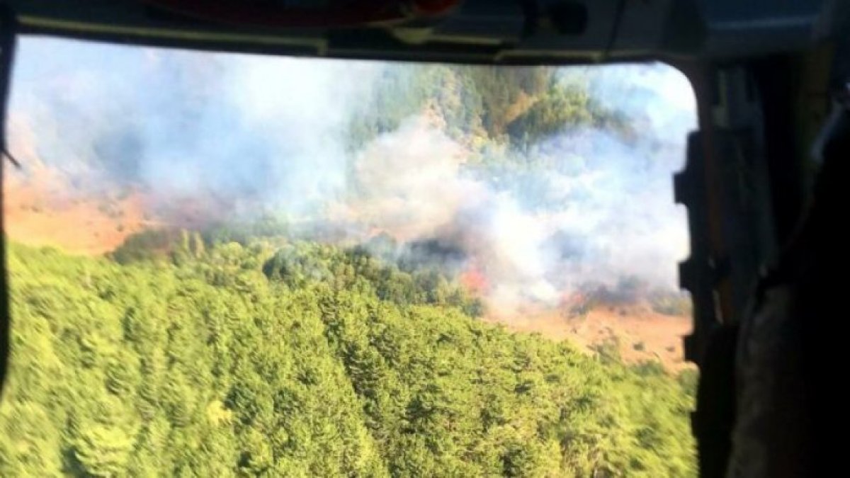 Kütahya'da orman yangını