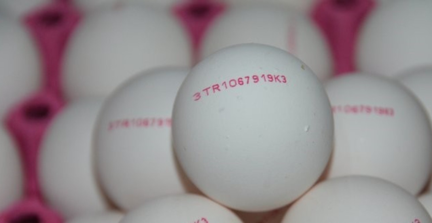 Yumurtaların üzerindeki numaralar ne anlama geliyor? Yumurtaların üzerindeki sayıların anlamları