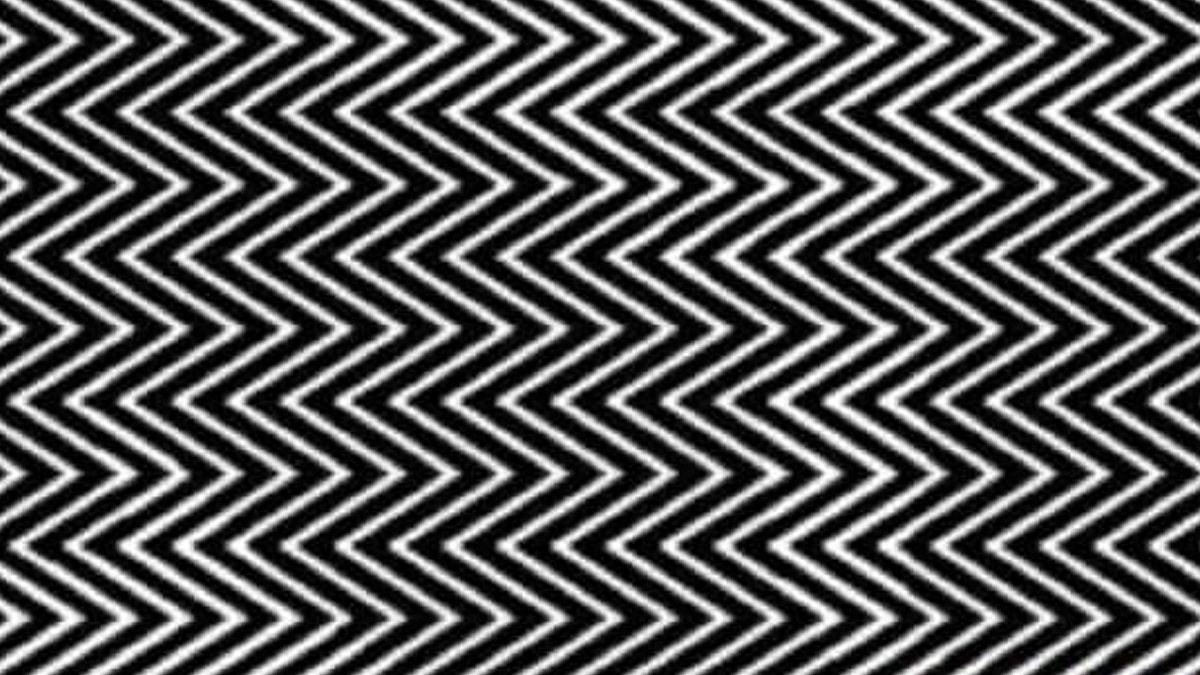 11 kişiden sadece 1 kişi görebiliyor! Gizli görüntüyü bulabilecek misiniz?