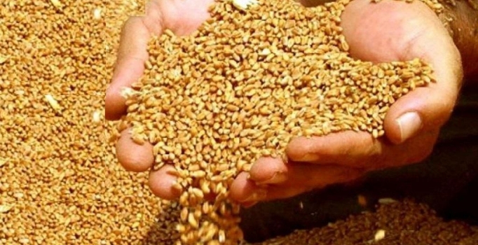 "Hububatta taban fiyat
beklentinin altında kaldı"