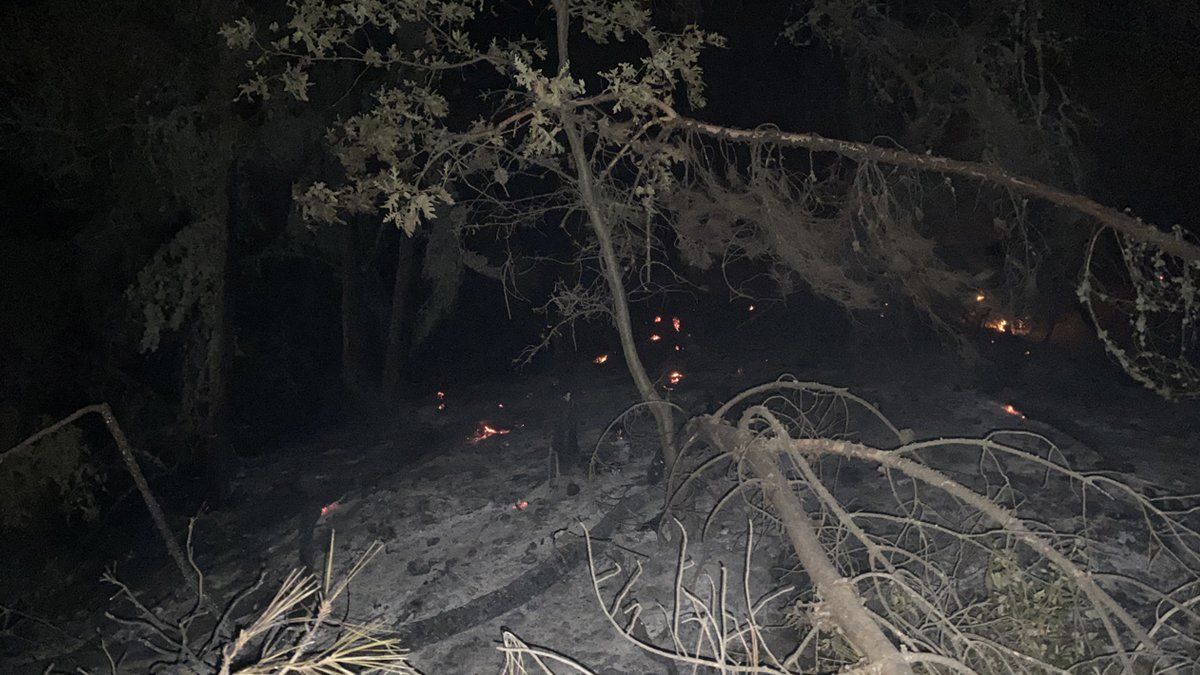 Uşak'ta orman yangını: Kontrol altına alındı