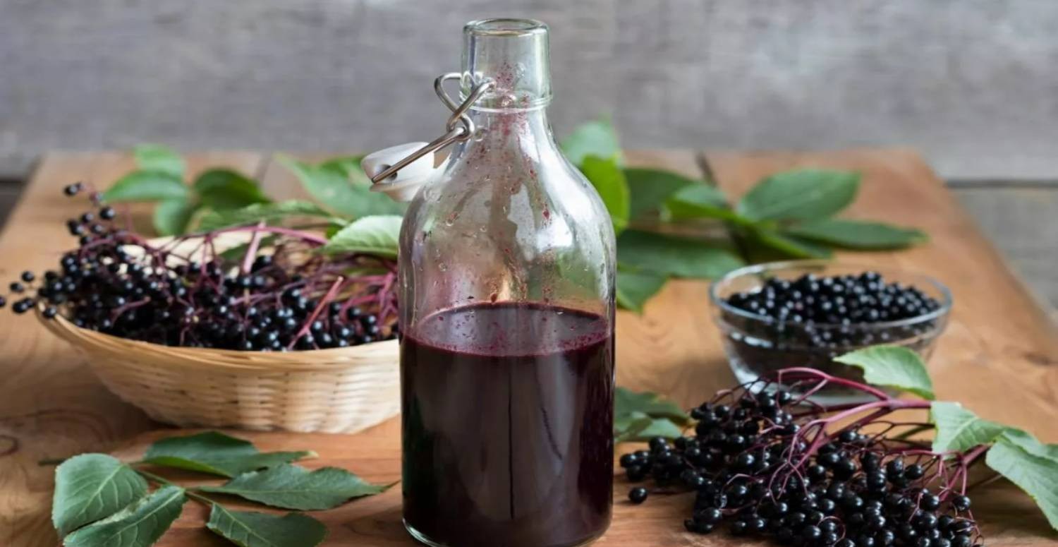 Mürver şurubu nedir, nasıl yapılır? Mürver şurubunun faydaları ve hazırlanışı