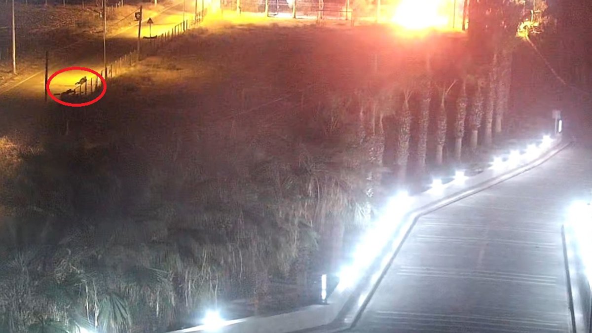 Mersin'deki polisevi saldırısında yeni görüntüler: Teröristler kendilerini böyle patlattı