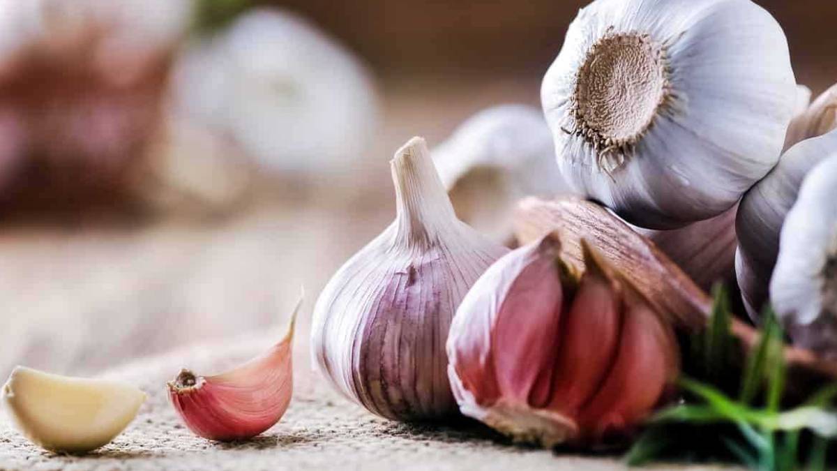 Bu kadarda olmaz demeyin! Yastığınızın altına bir diş sarımsak koyun bebekler gibi yatın