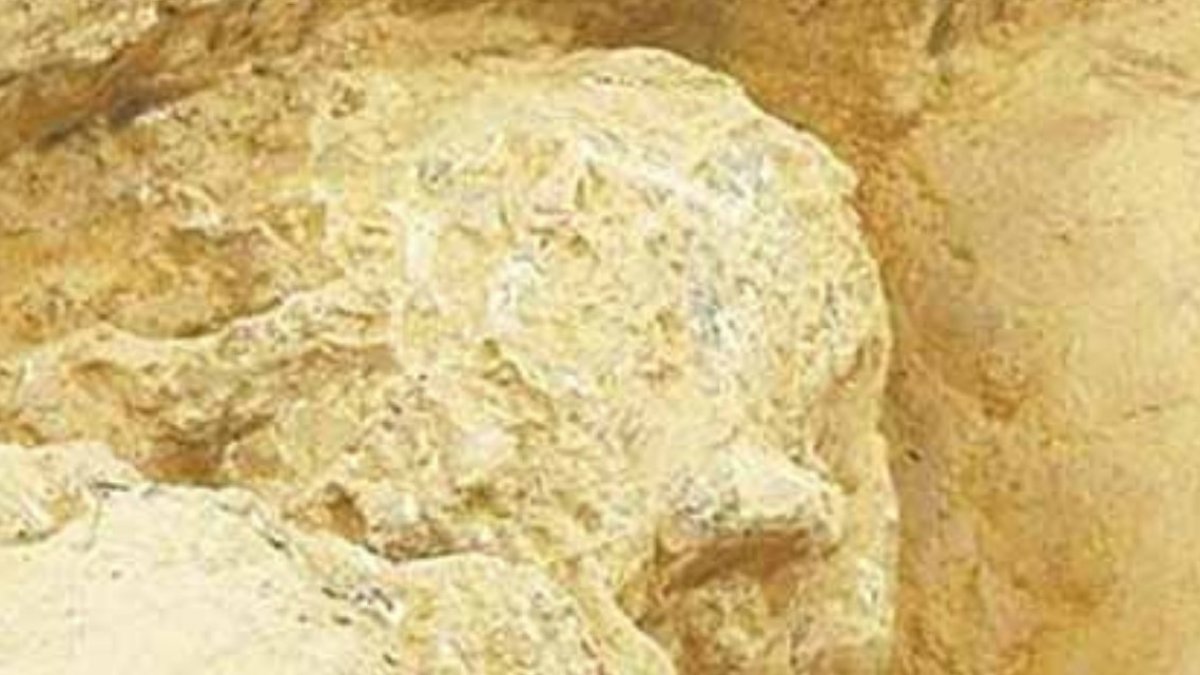 Çin'de bir milyon yıllık Homo erectus kafatası bulundu