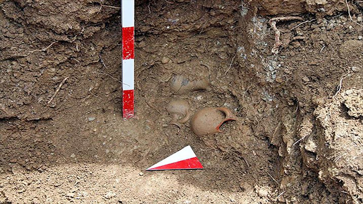 Define avcılarının sikke kavgası emniyette son buldu