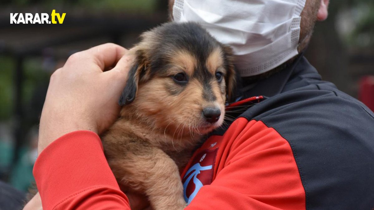 Dünya Hayvanlar Günü'ne özel hazırlanan video izleyenleri güldürdü