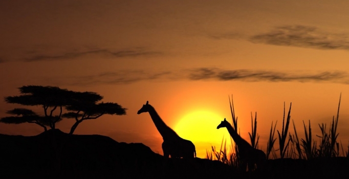 Türkiye İMSAD’dan
Afrika’ya ihracat hamlesi