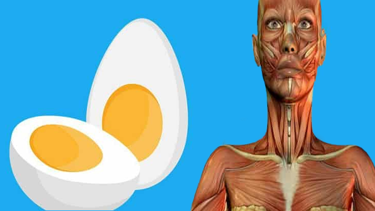 Zaman kaybetmeden kahvaltıda 2 yumurta yemeye başlayın! Vücudunuzda bunlar olacak...