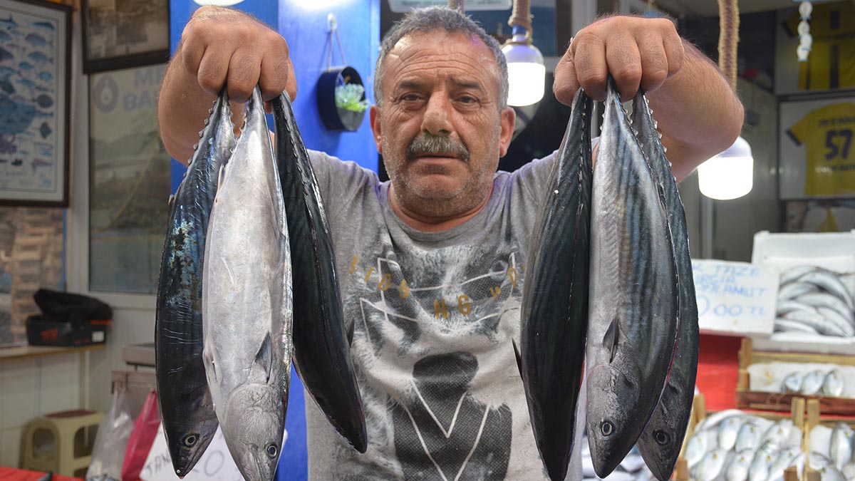 Et pahalı olunca vatandaş palamuta yöneldi