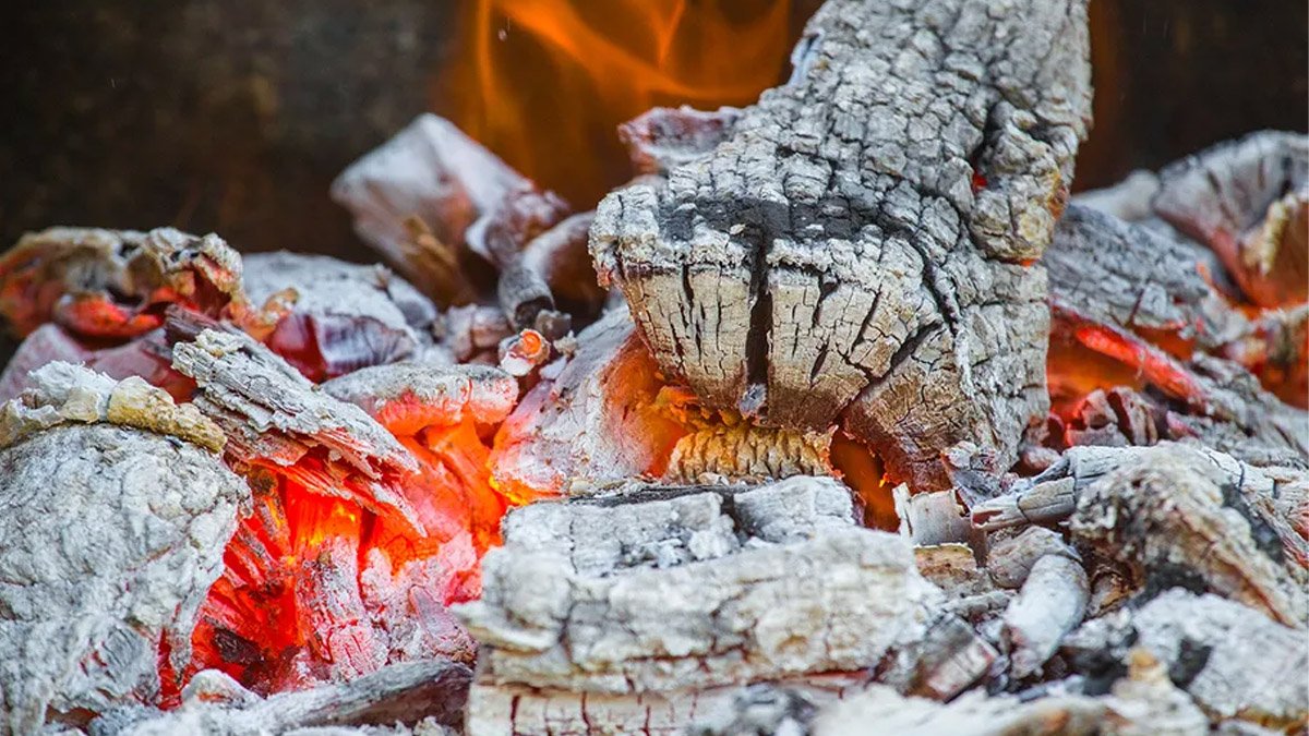 Bu haberi okuduktan sonra yaktığınız ateşten geri kalan külleri çöpe atmadan önce iki kez düşüneceksiniz