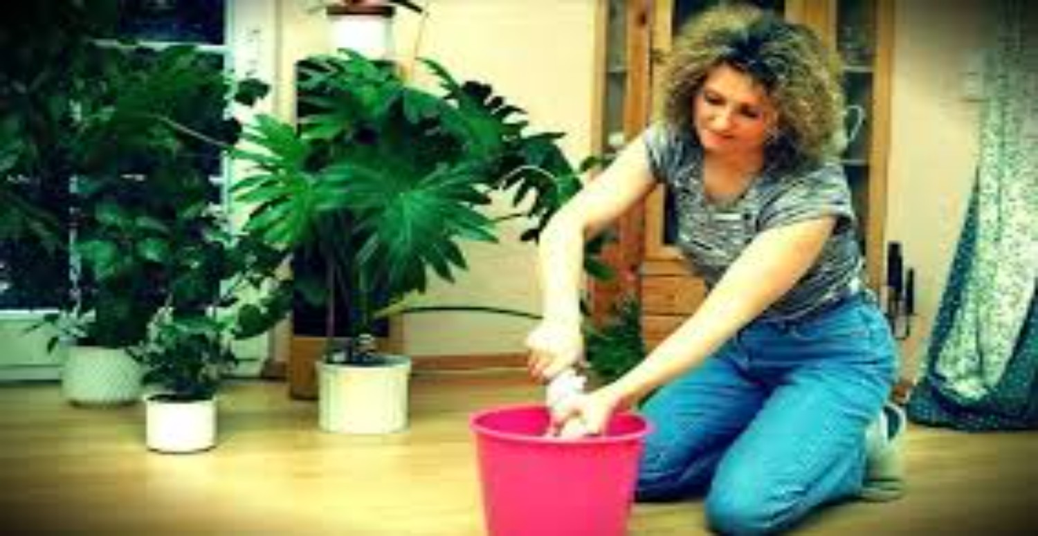 SGK'dan ev hanımları için büyük adım... Ev hanımlarına emeklilik hakkı geliyor! Çalışmayan ve çocuğu olanlar içi 3500 TL maaşla emeklilik hakkı... Başvuru için acele edin...